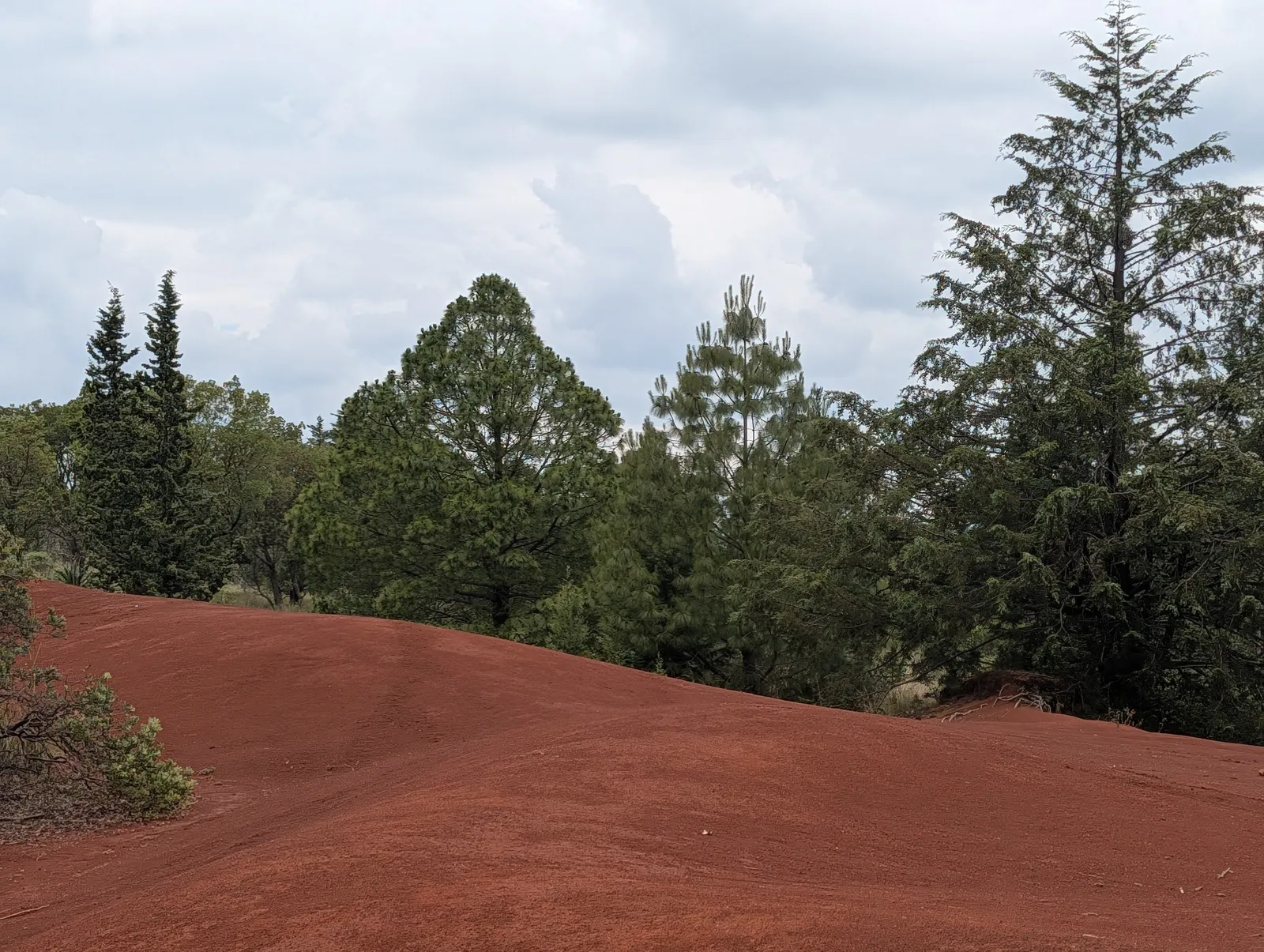Paisaje rojizo de las Dunas Rojas de Amealco rodeado de árboles y vegetación natural en Querétaro.