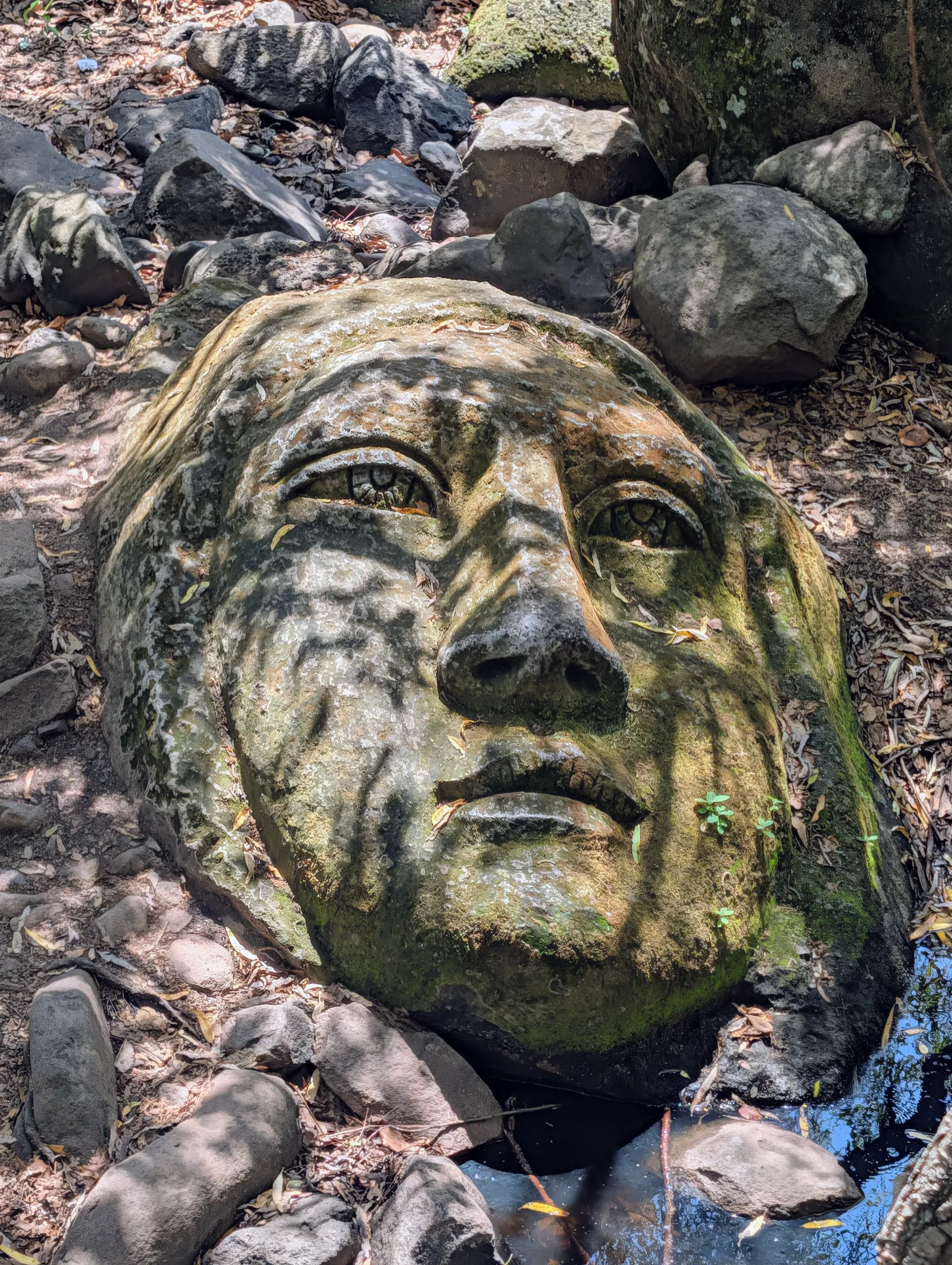 Escultura gigante de rostro en piedra rodeada de rocas y vegetación en Escolásticas.
