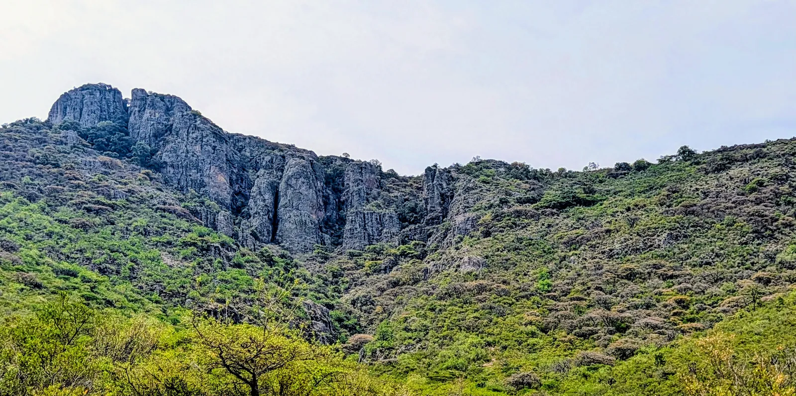 Montaña del Cerro Rostro de Cristo vista desde sendero natural con vegetación semidesértica.