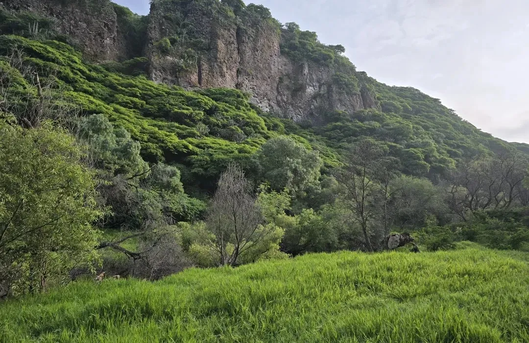 Paisaje natural de El Batán en Querétaro con vegetación verde, cerros rocosos y sendero para caminata al aire libre.