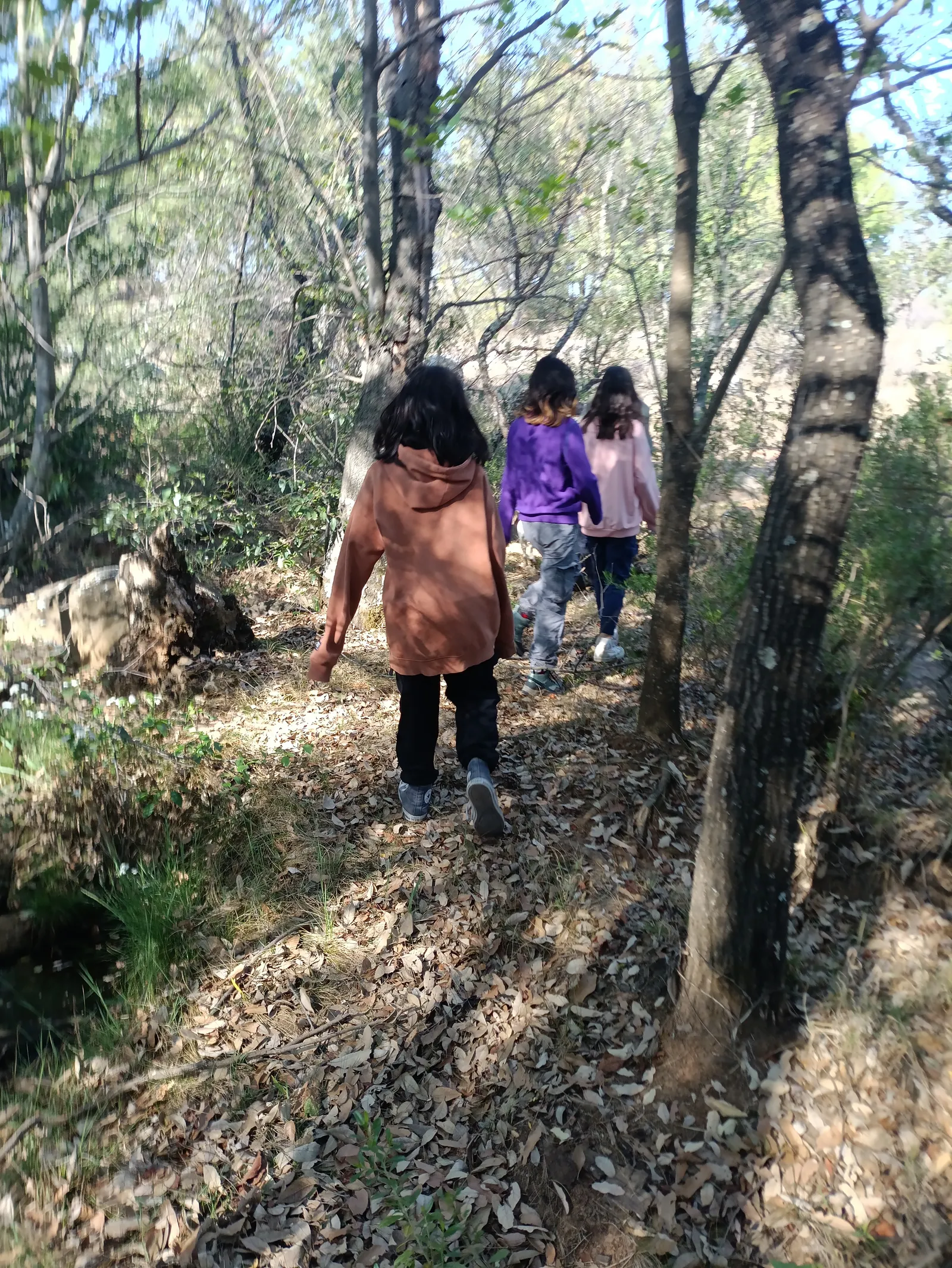 Familia caminando por un sendero arbolado junto al Manantial y Presa del Rayo, Huimilpan.