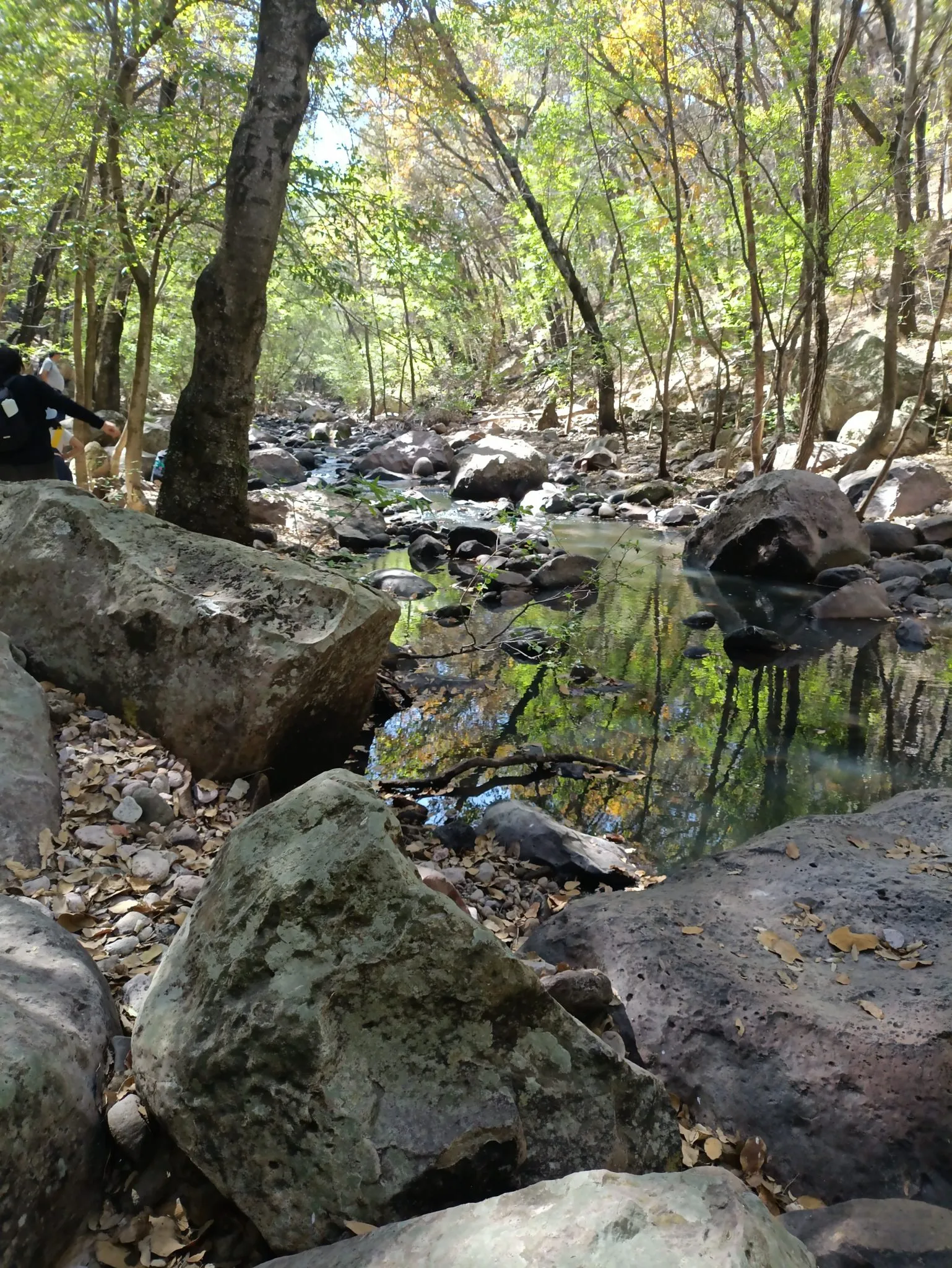 Arroyo y bosque de ribera en el recorrido hacia la Cascada de Tixhiñú, Aculco.