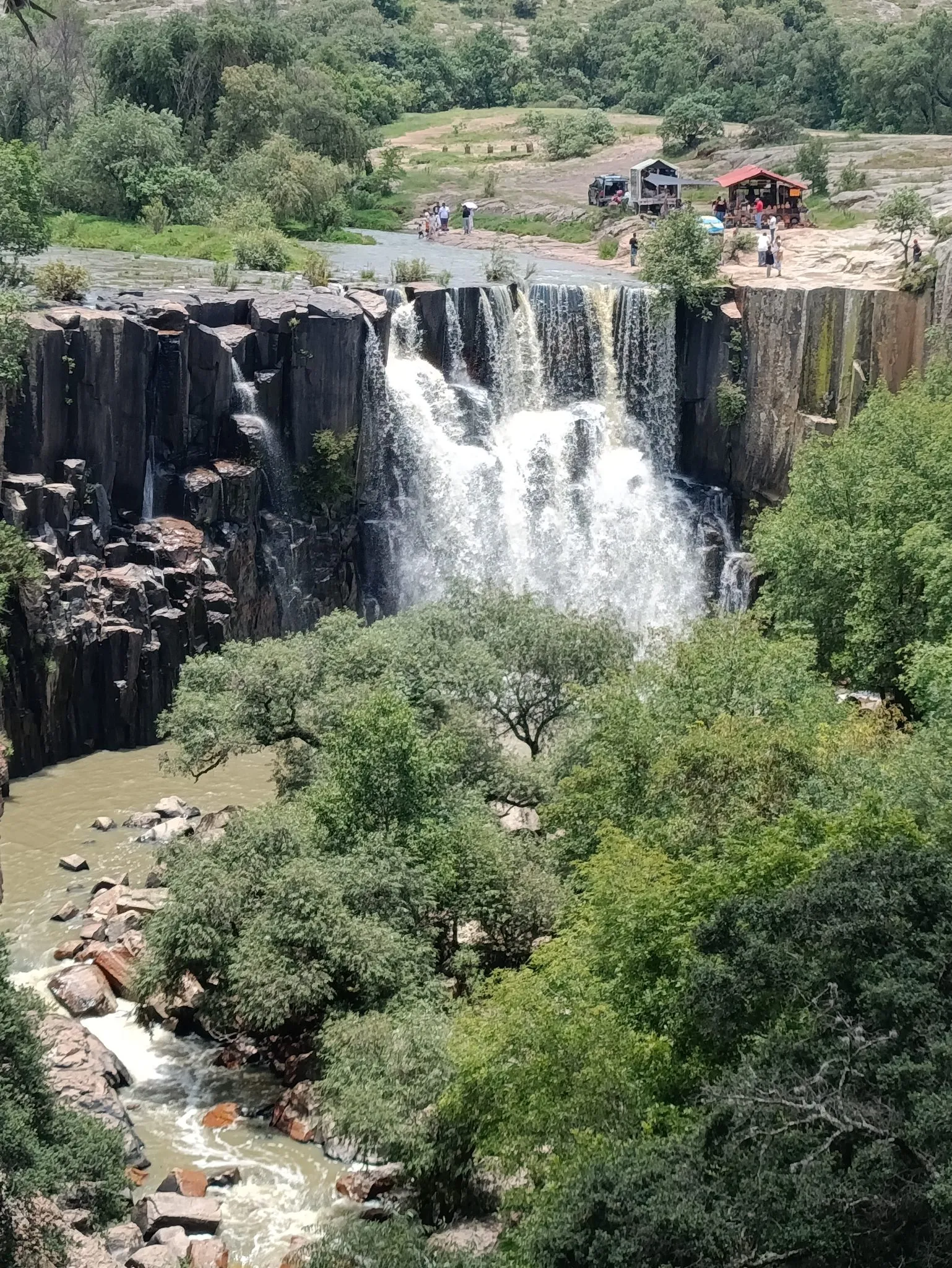 Caída principal de la Cascada de la Concepción rodeada de vegetación en Amealco, Querétaro.