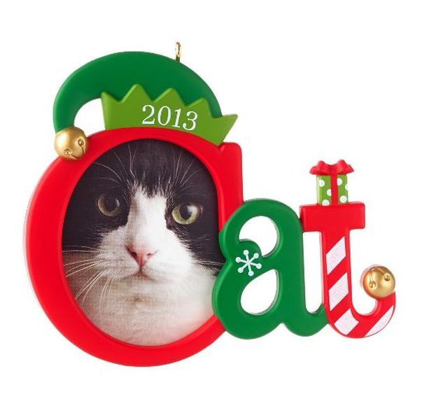Cute Kitty