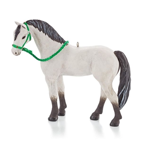 Dream Horse