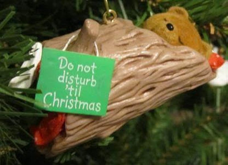 Do Not Disturb Bear
