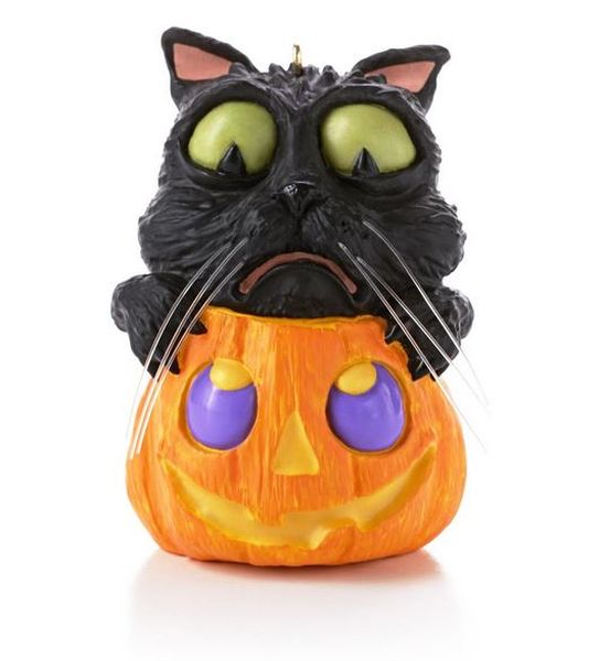 Cat O' Lantern