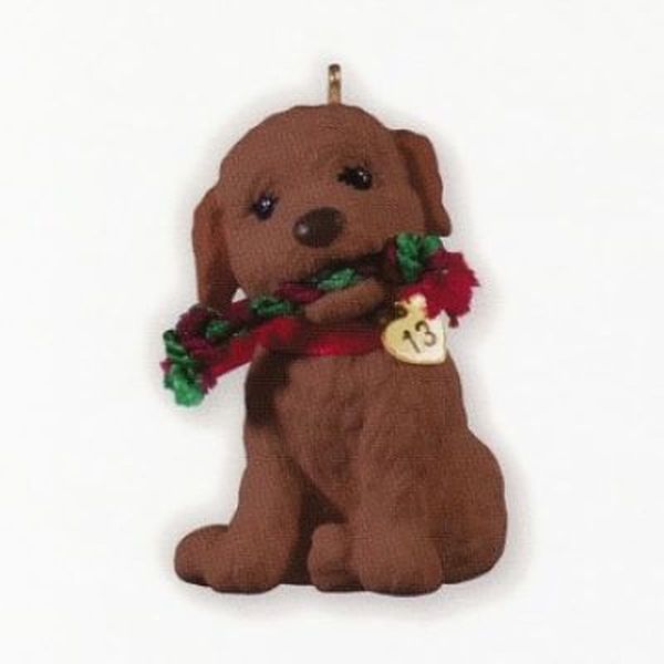Labradoodle Colorway