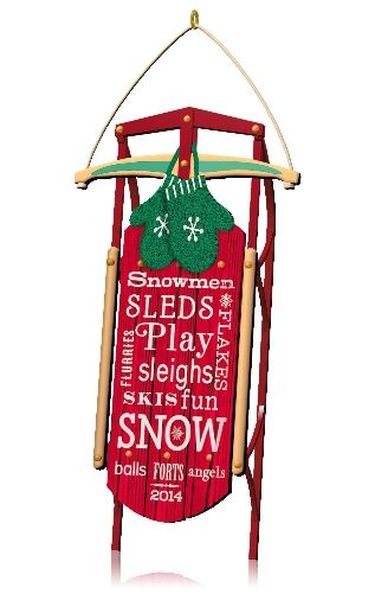 Snow Much Fun!