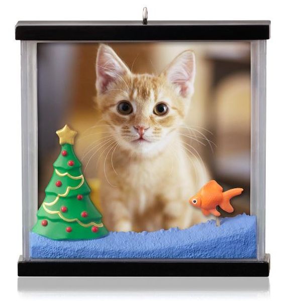 Picture Purrfect - Photo Holder