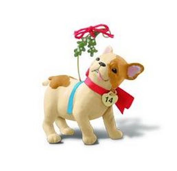 Puppy Love Colorway