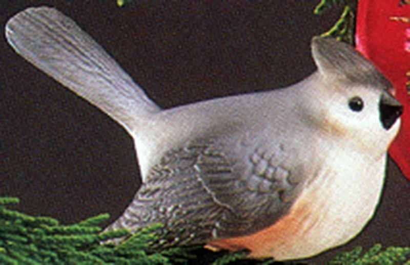 Tufted Titmouse