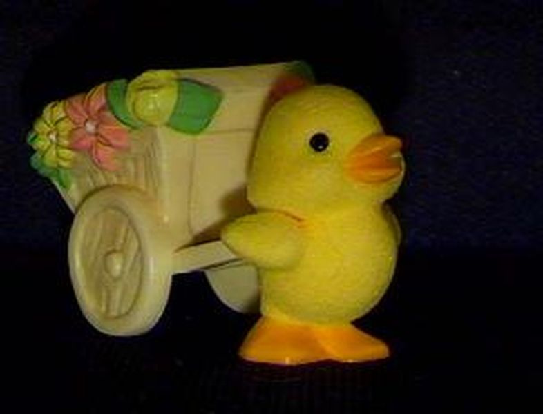 Duck
