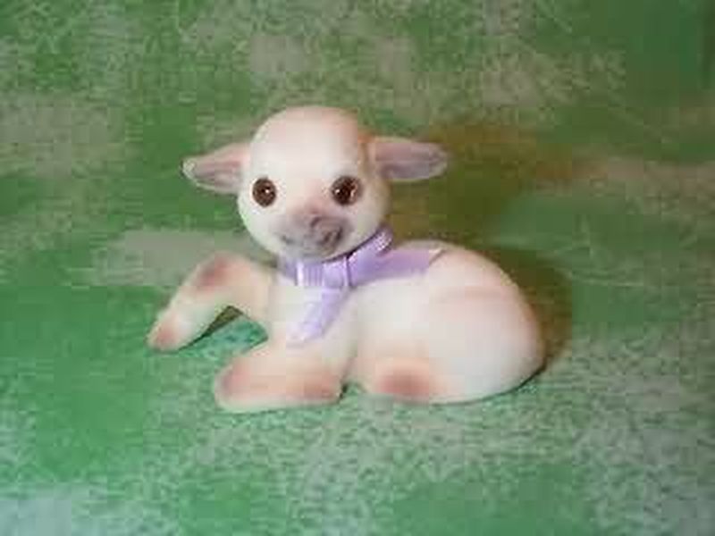 Lamb