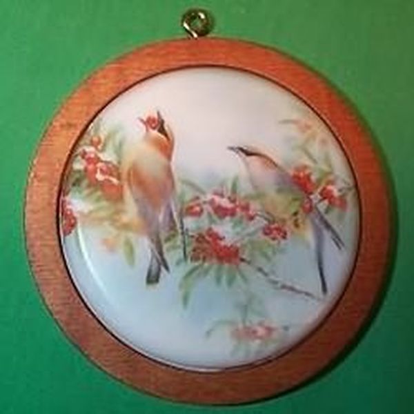 Cedar Waxwing
