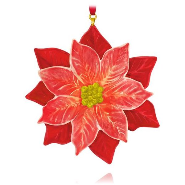 La Flor de la Nochebuena The Flower of the Holy Night
