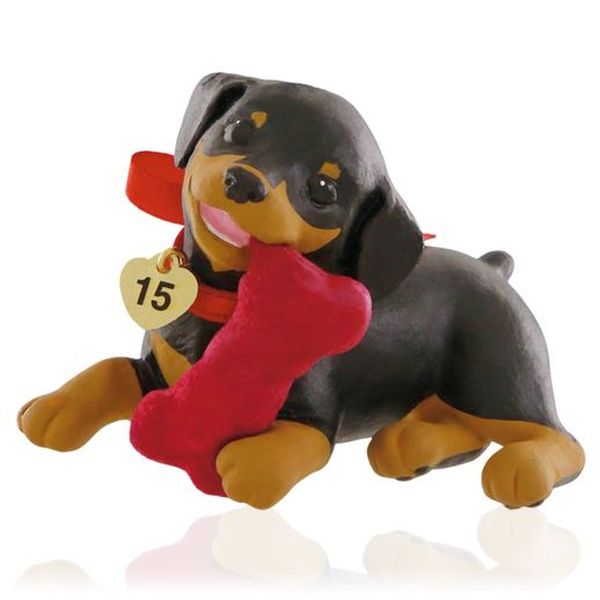 Puppy Love