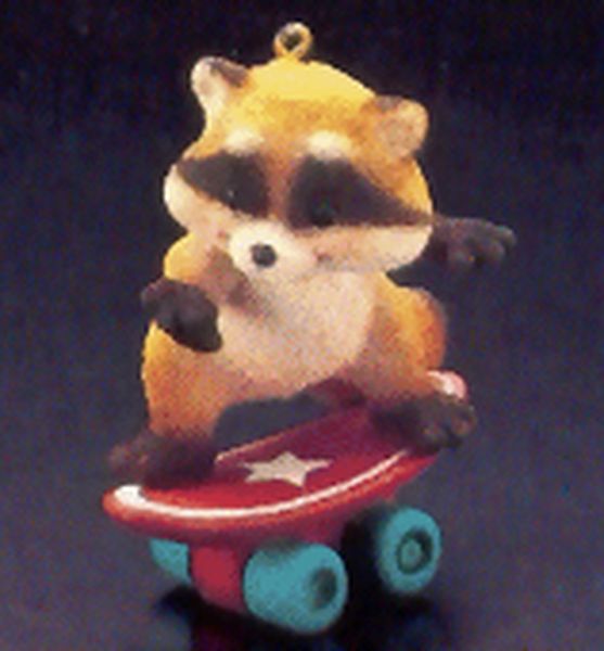 Skateboard Raccoon