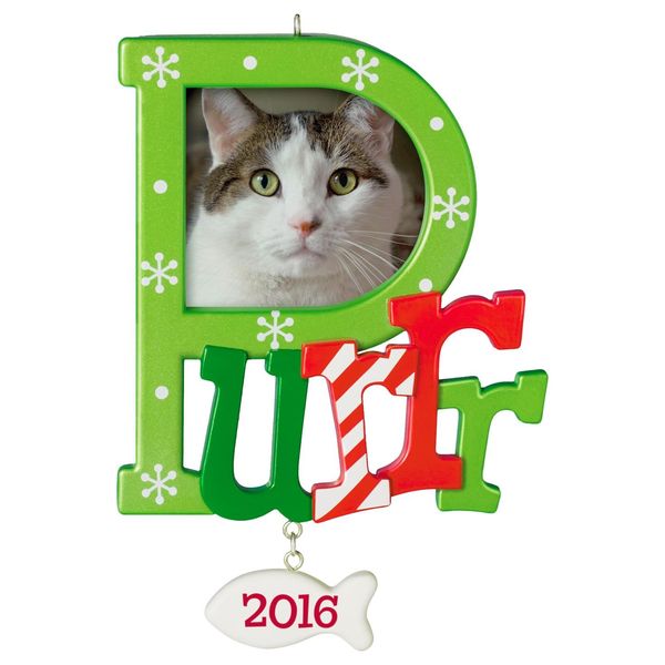 Purr