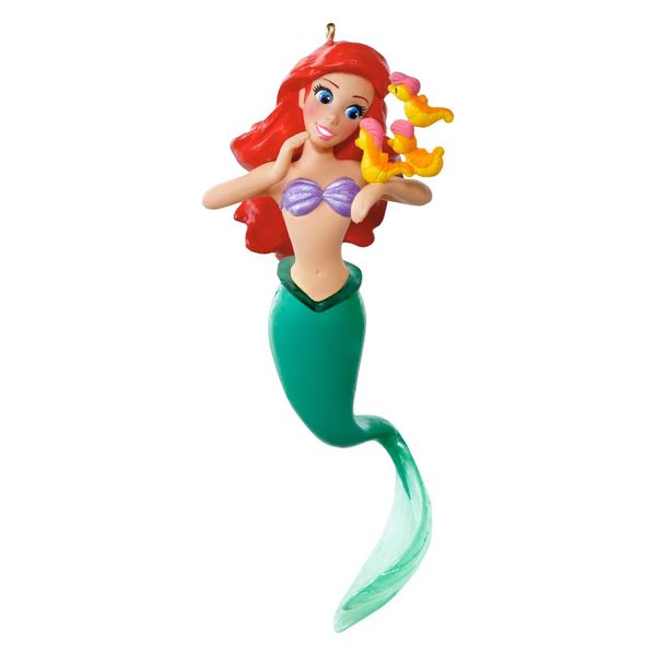 Under the Sea
