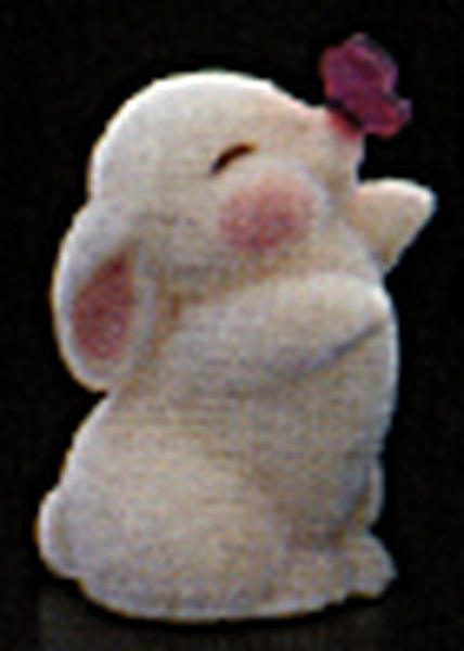 Bunny