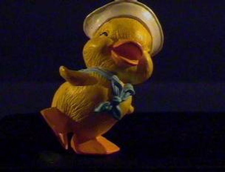 Duck Sailor