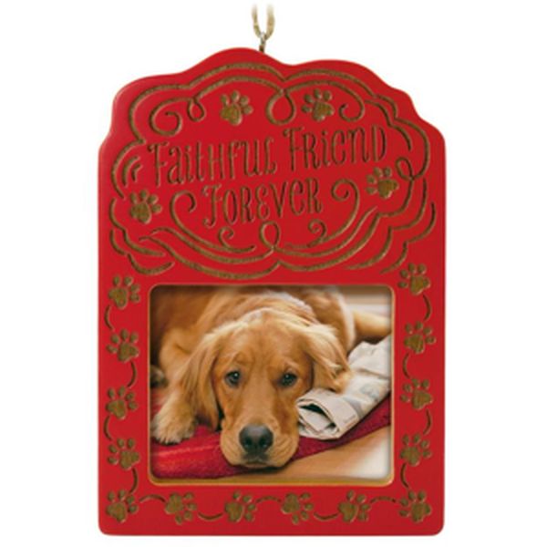 Faithful Friend Forever