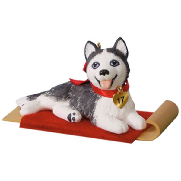 Siberian Husky