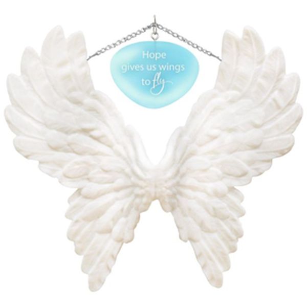 Wings to Fly