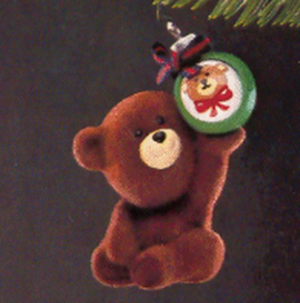 Beary Special