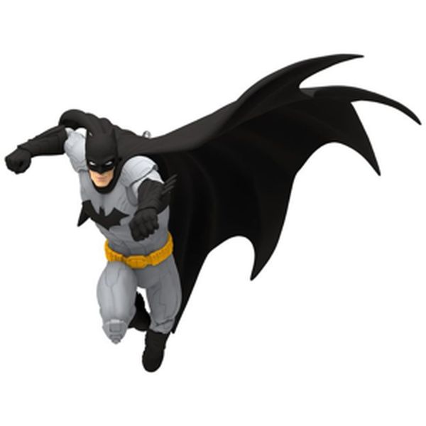 The Guardian of Gotham City