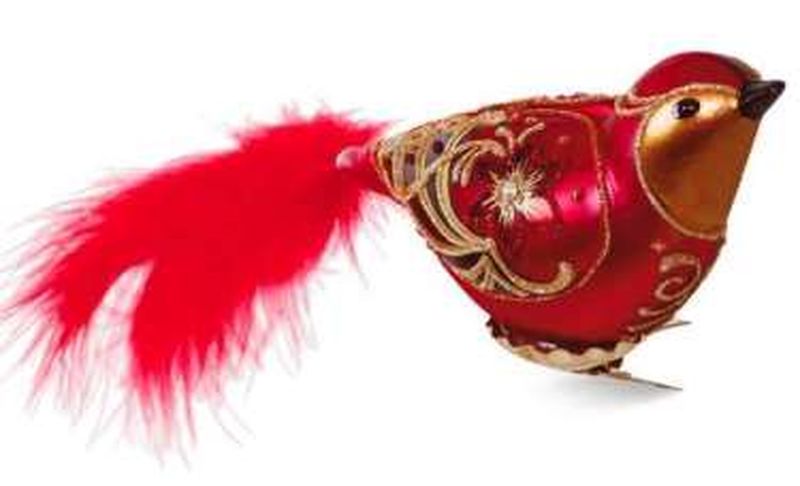 Red Bird