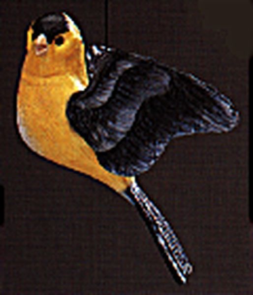 Goldfinch