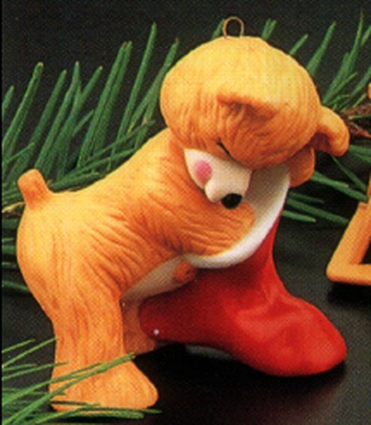 Cinnamon Bear with Sock