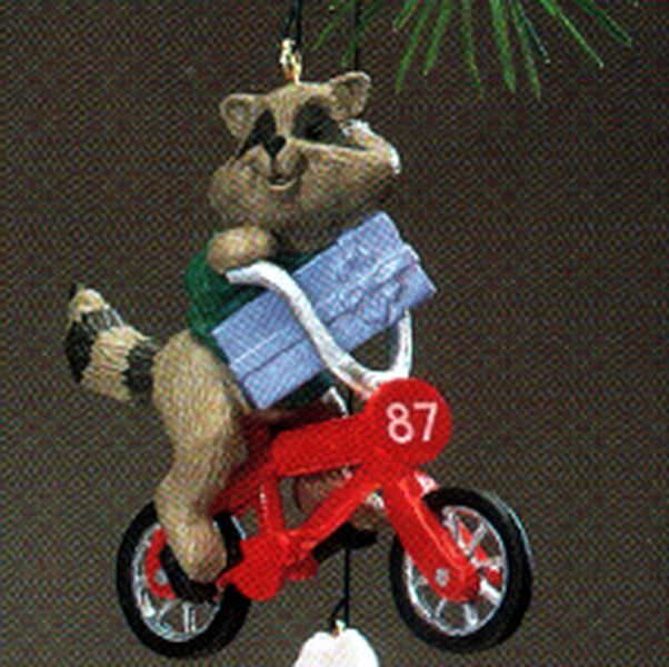 Raccoon Biker