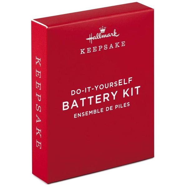 Do-it-yoursELF Battery Kit
