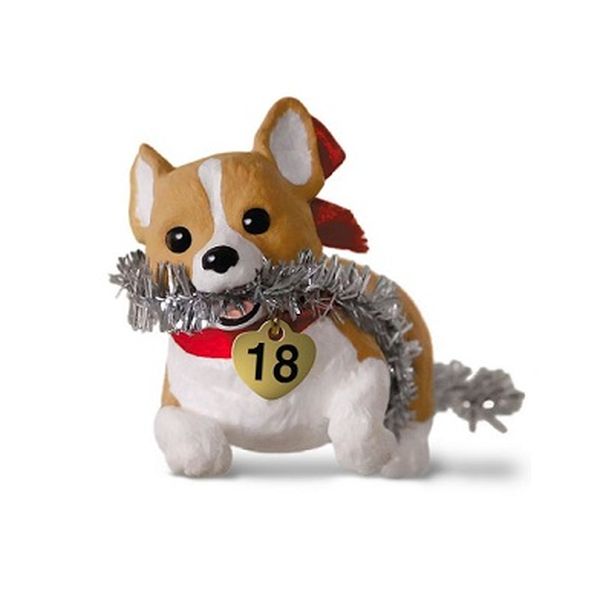 Welsh Corgi