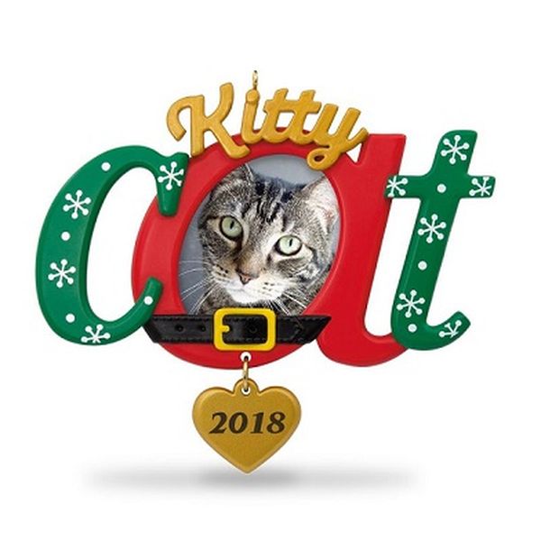 Kitty Cat