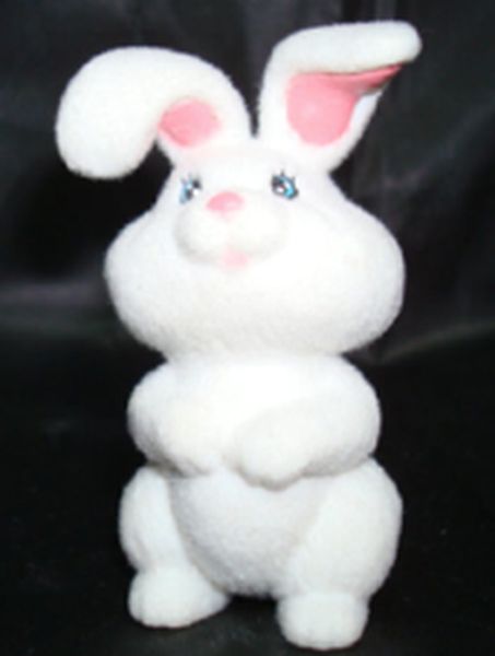 Bunny