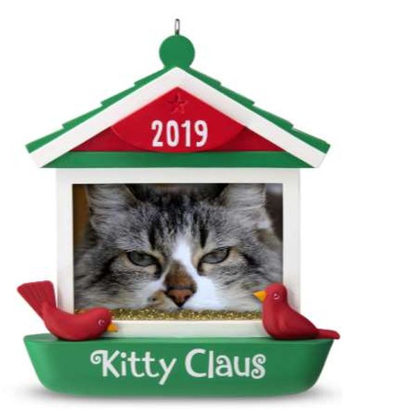 Kitty Claus