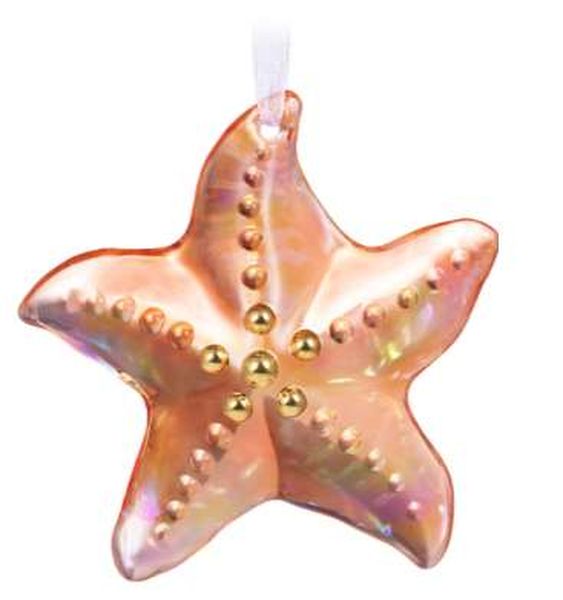 Stunning Starfish