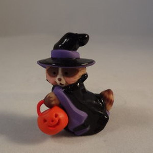 Raccoon Witch