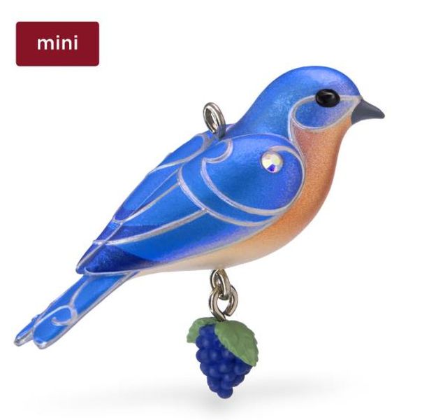Eastern Bluebird