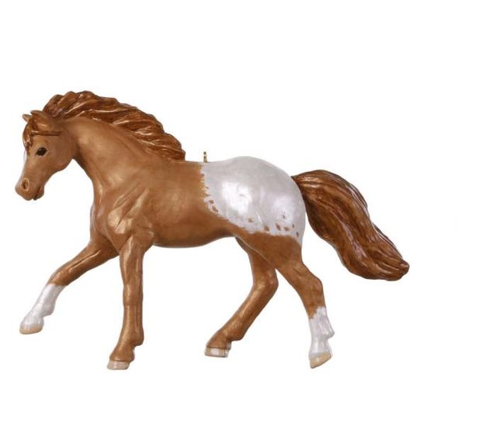 Appaloosa