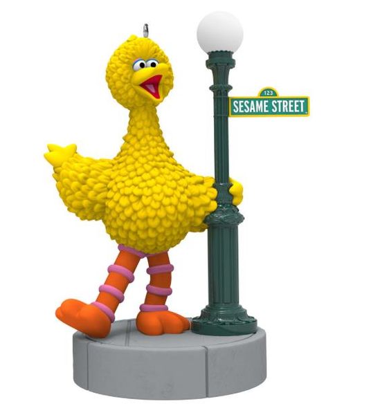 Celebrating 50 Years