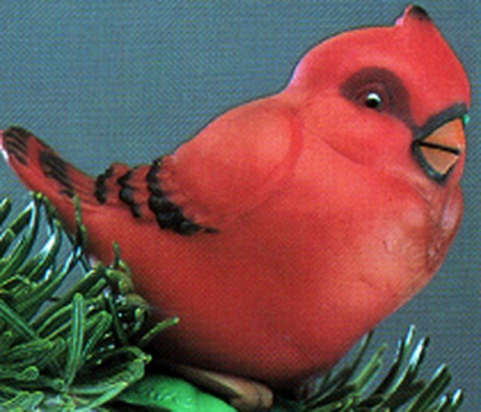 Baby Redbird