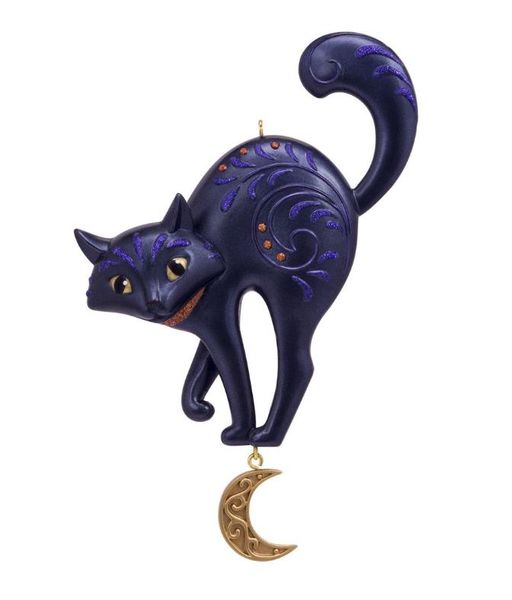 Bewitching Black Cat