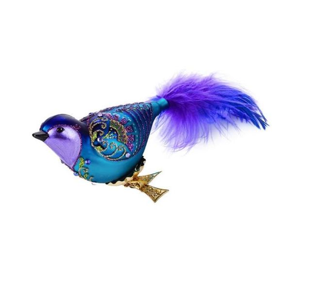 Beautiful Blue Bird