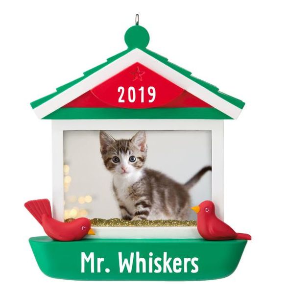 Kitty Claus