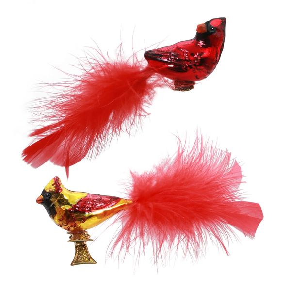 Cute Cardinal Couple